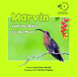 Marvin and the Race to the Nest